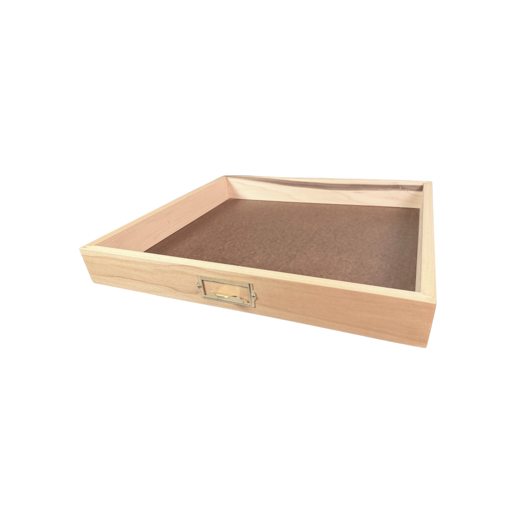 Insect Storage Tray