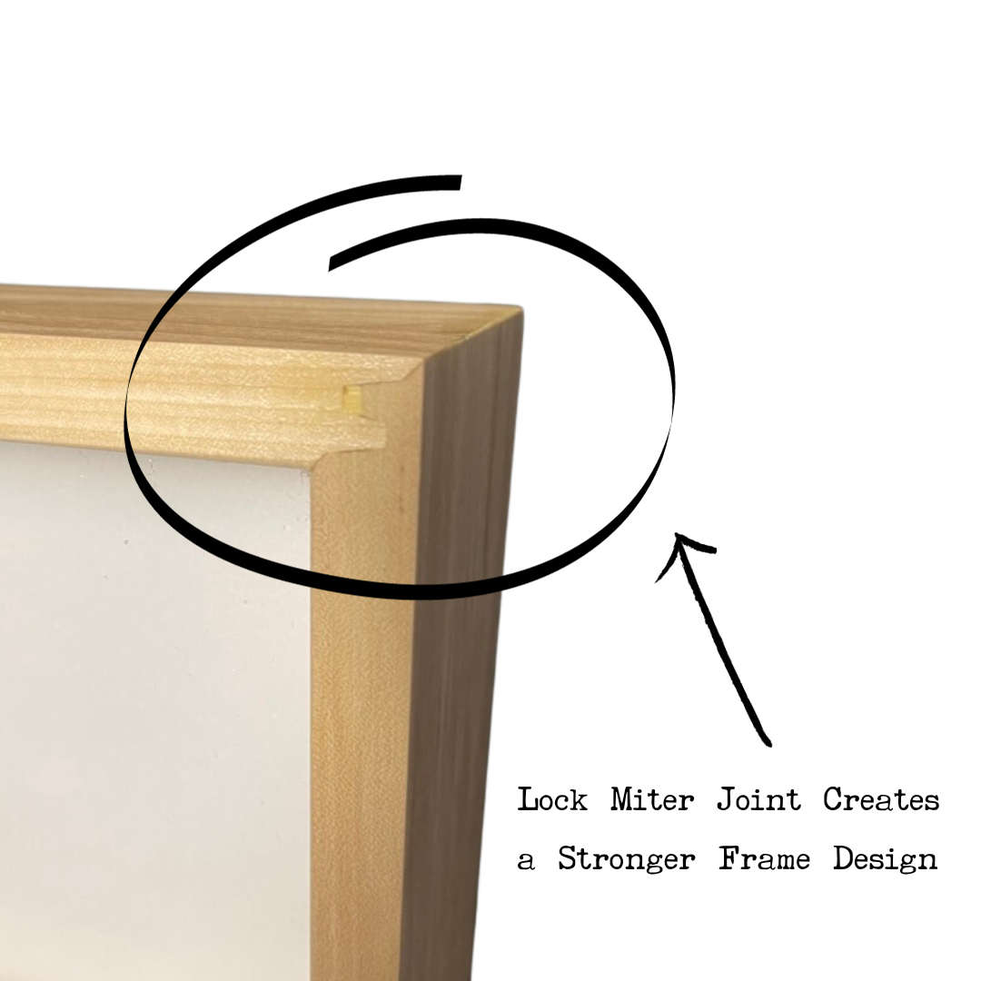 8x8 Insect Display Frame (Black Stained)