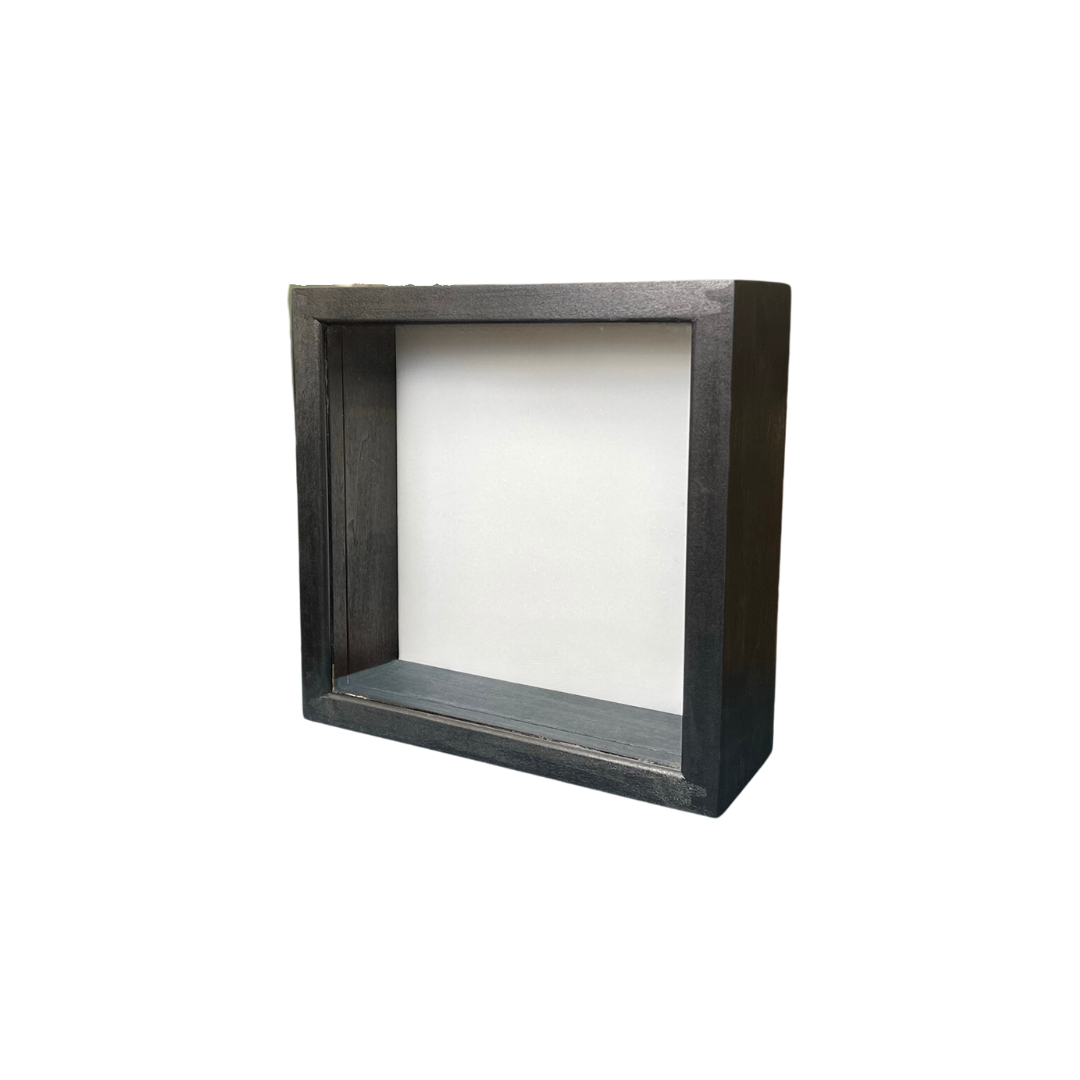 8x8 Insect Display Frame (Black Stained)
