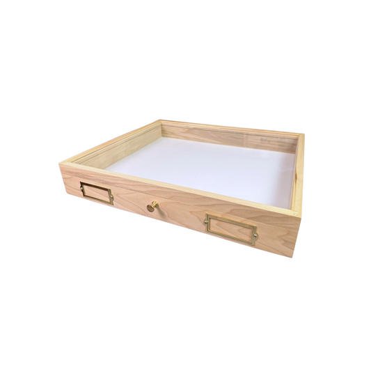 Cornell Drawer with Card Holders and Knob with Foam Pinning Bottom