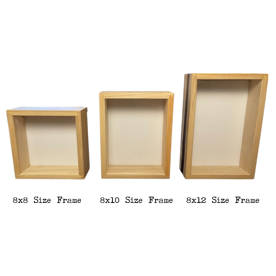 8x8 Cornell depth Insect Display Frame