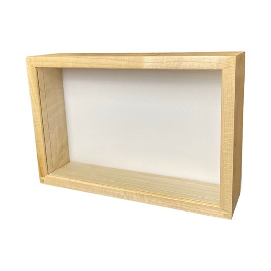 8x12 Insect Display Frame